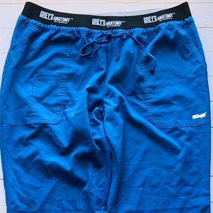 Greys Anatomy Blue Active By Barco Pants Size L